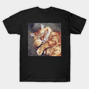 Cat test T-Shirt